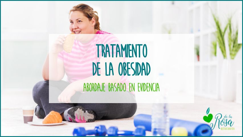 Dietista Nutricionista Online - Natalia de la Rosa - Tratamiento para la obesidad